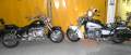 moto-737