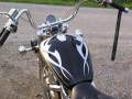 moto-739