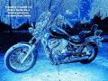 moto-3312