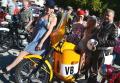 moto-3384