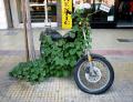 moto-3388
