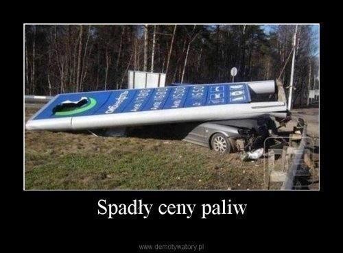 zpt