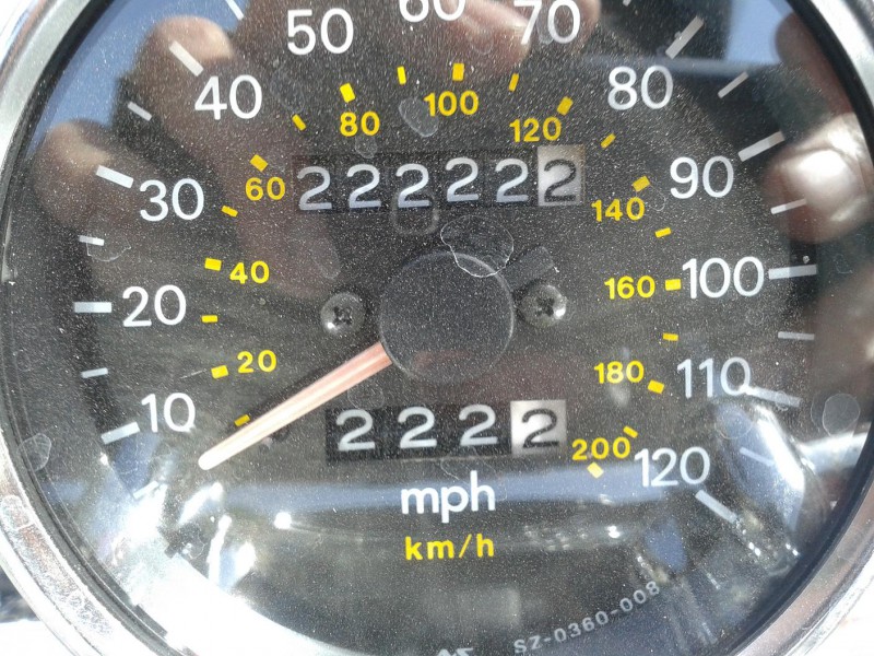 zpt
