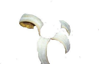 zpt