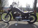 moto-4981