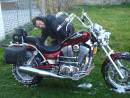 moto-6318