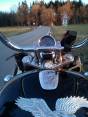 moto-6436