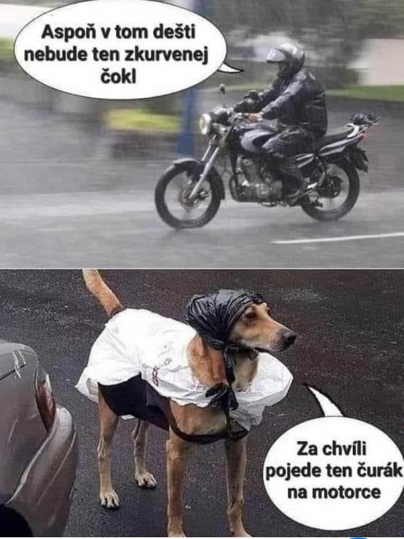 zpt