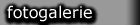 Fotogalerie (2K)